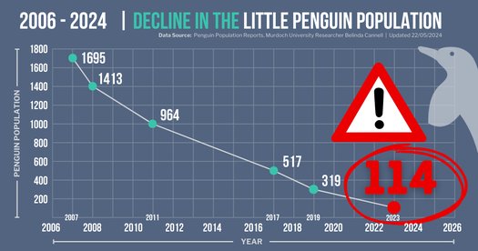 image of Save Rockingham's Little Penguins