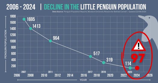 image of Save Rockingham's Little Penguins